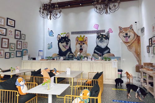 身邊的美學(xué)空間 蘇州這幾處公共文化體驗(yàn)空間，文藝小資且充滿藝術(shù)靈感